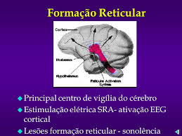 Formacao ret